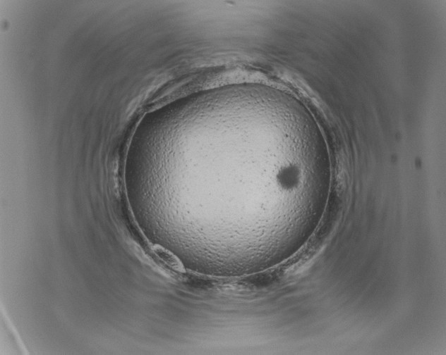 X0000072550585200608041650