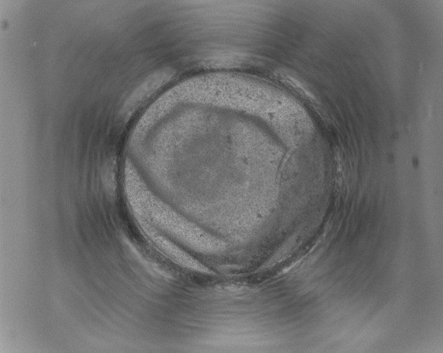 X0000072550586200608041650