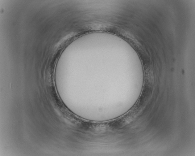 X0000072550587200608041650