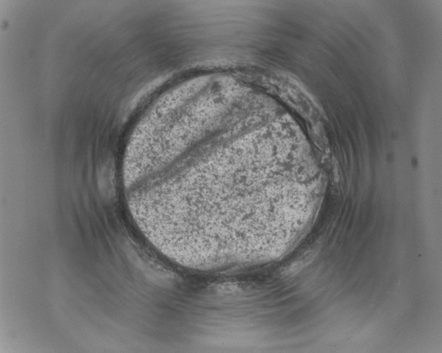 X0000072550588200608041650