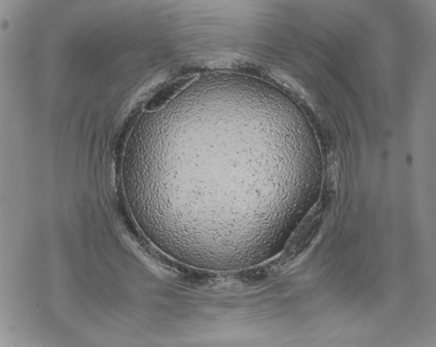 X0000072550589200608041650