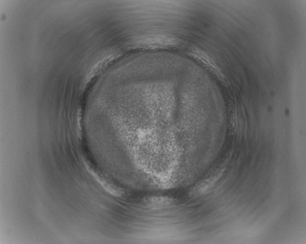 X0000072550590200608041650