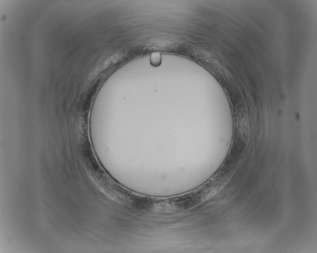 X0000072550591200608041650