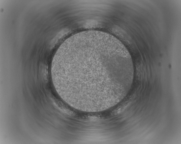 X0000072550592200608041650