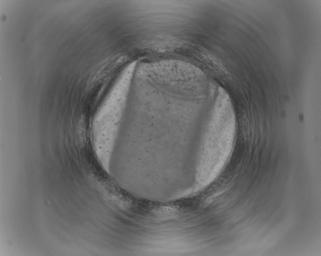 X0000072550594200608041650