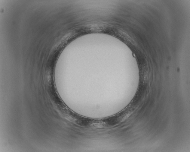 X0000072550595200608041650