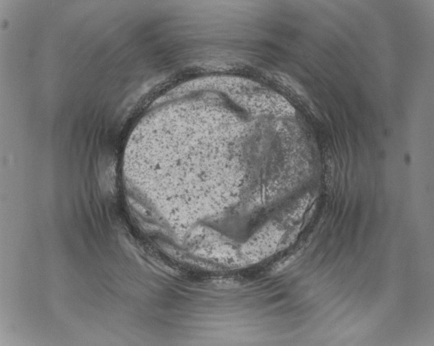 X0000072550596200608041650