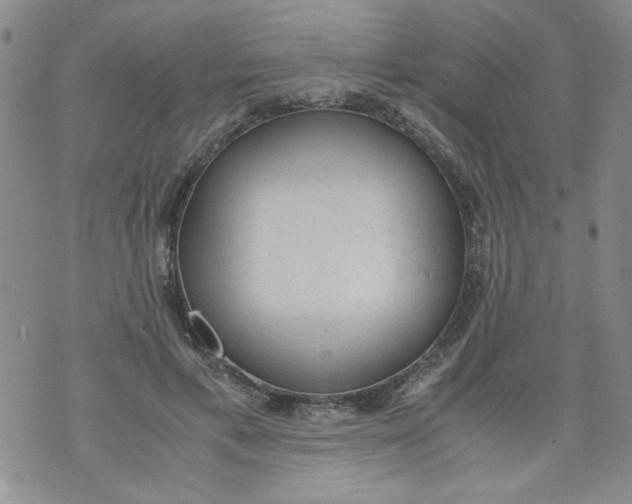 X0000072550597200608041650