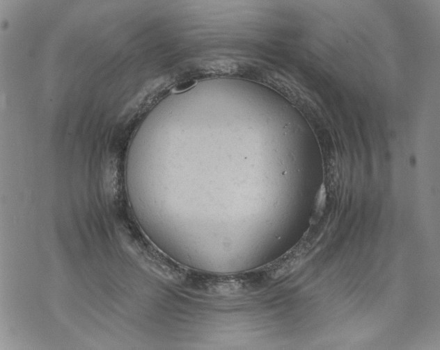 X0000072550600200608041650