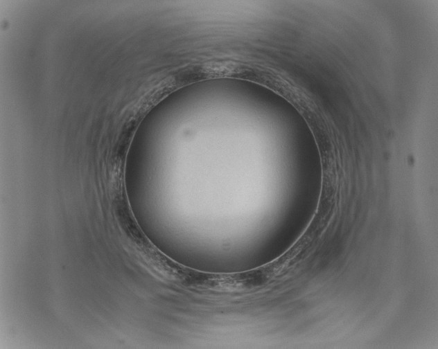 X0000072550601200608041650