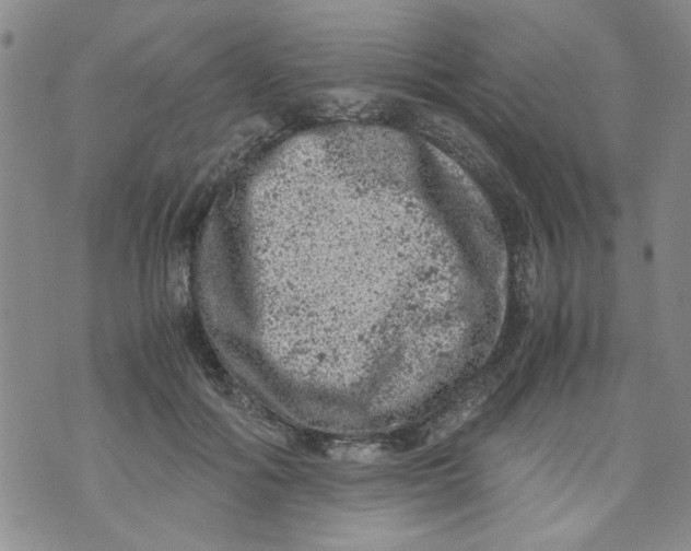 X0000072550602200608041650