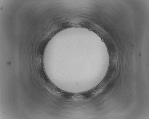 X0000072550603200608041650