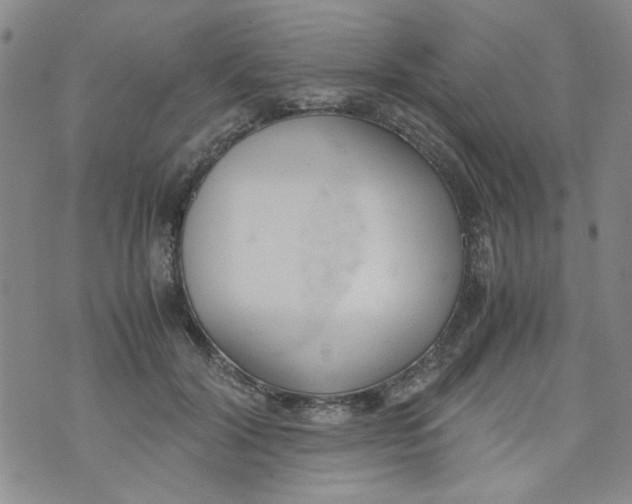 X0000072550604200608041650