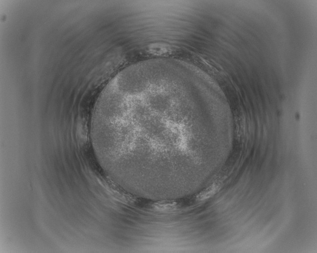 X0000072550606200608041650