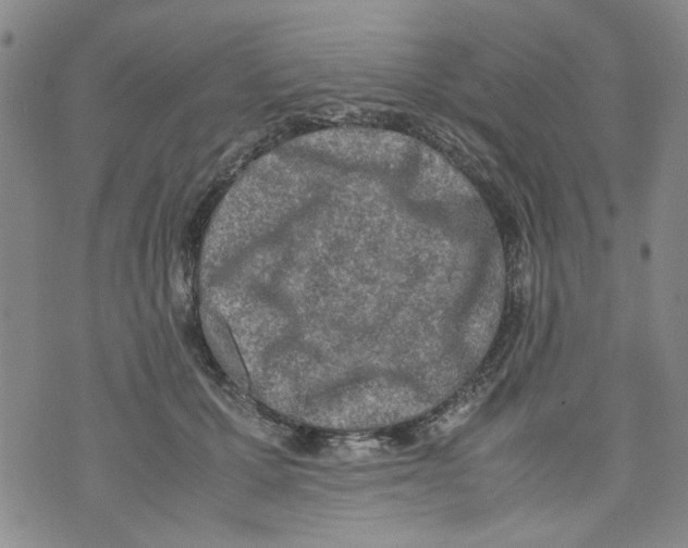 X0000072550607200608041650