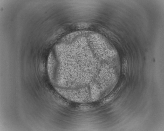 X0000072550608200608041650