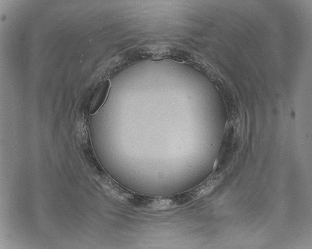 X0000072550609200608041650