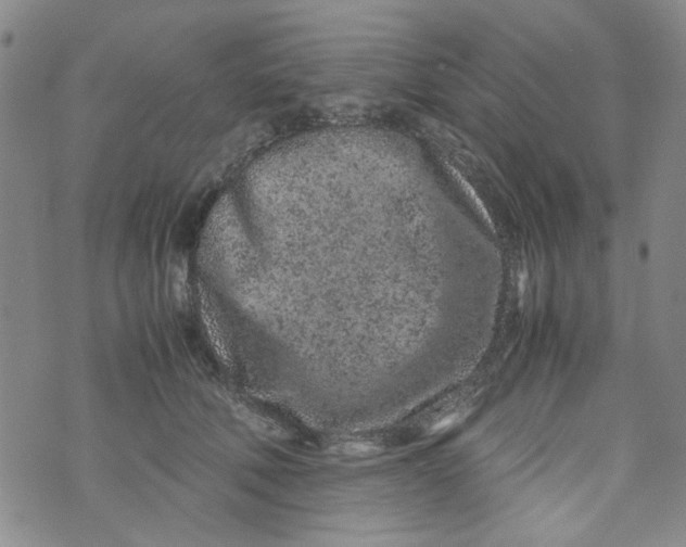 X0000072550610200608041650