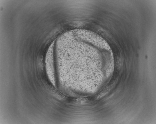 X0000072550612200608041650