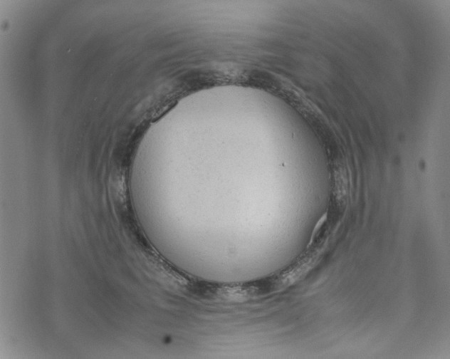 X0000072550613200608041649