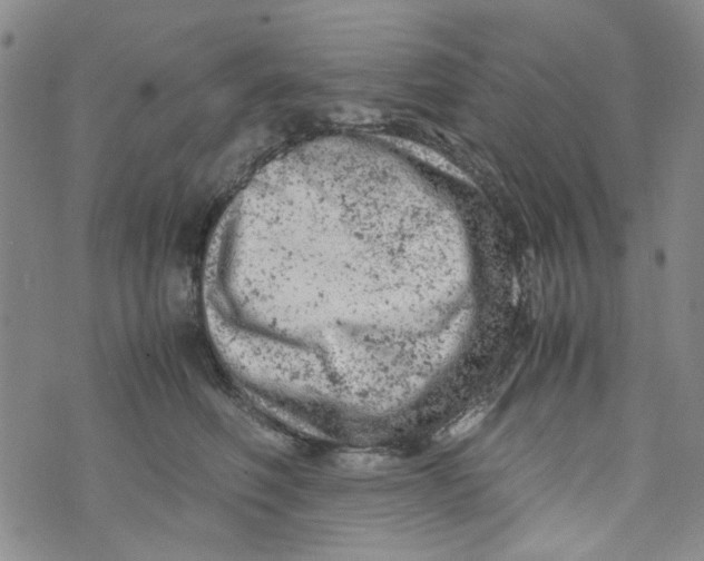 X0000072550614200608041649