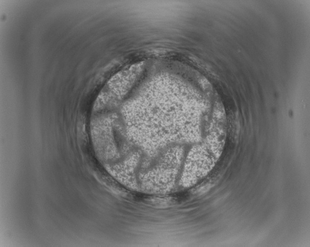 X0000072550615200608041649