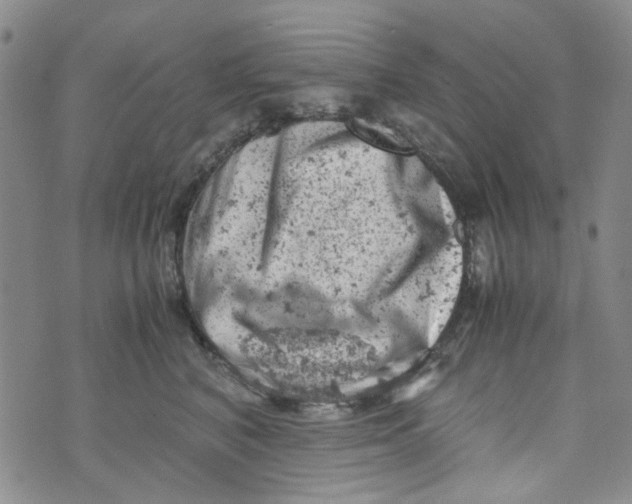 X0000072550616200608041649