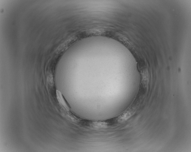 X0000072550617200608041649