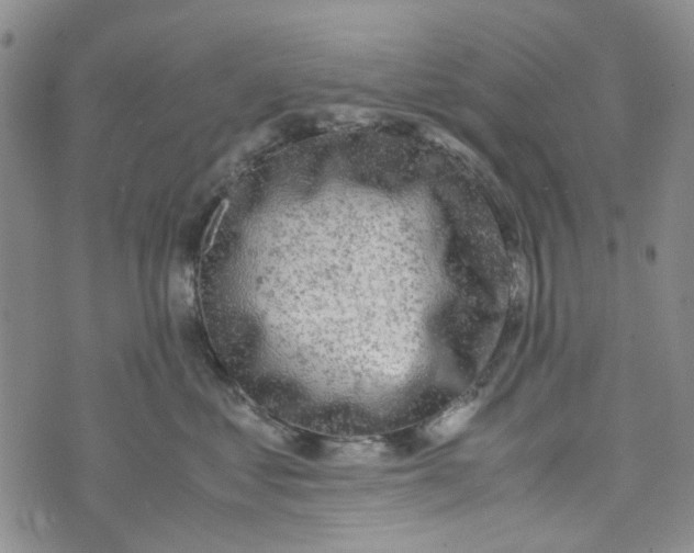 X0000072550621200608041649