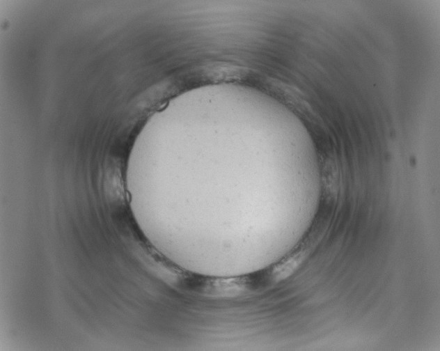 X0000072550622200608041649