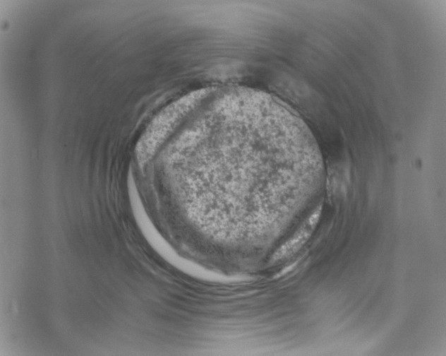 X0000072550623200608041649