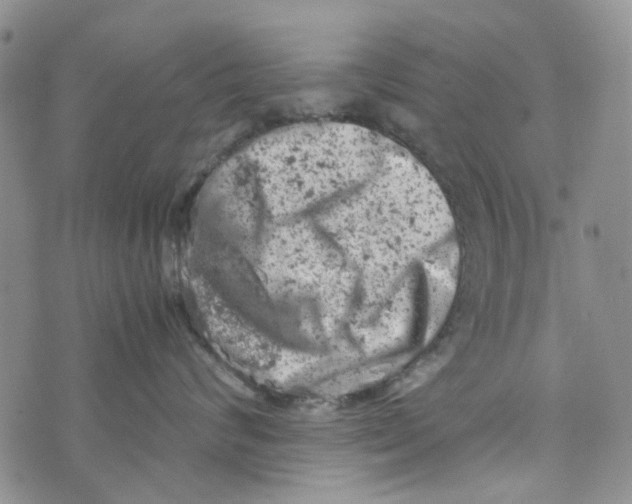 X0000072550624200608041649