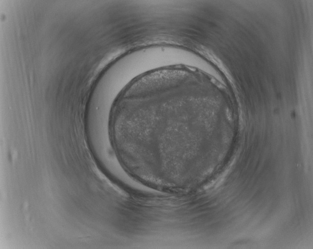 X0000072550625200608041649