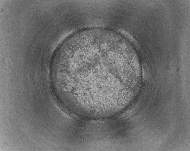 X0000072550627200608041649