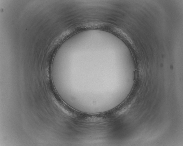 X0000072550633200608041649