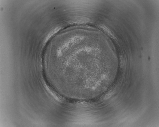 X0000072550634200608041649