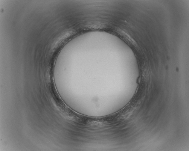 X0000072550635200608041649