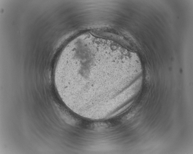 X0000072550636200608041649