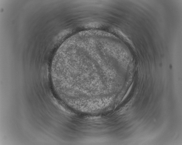 X0000072550637200608041649