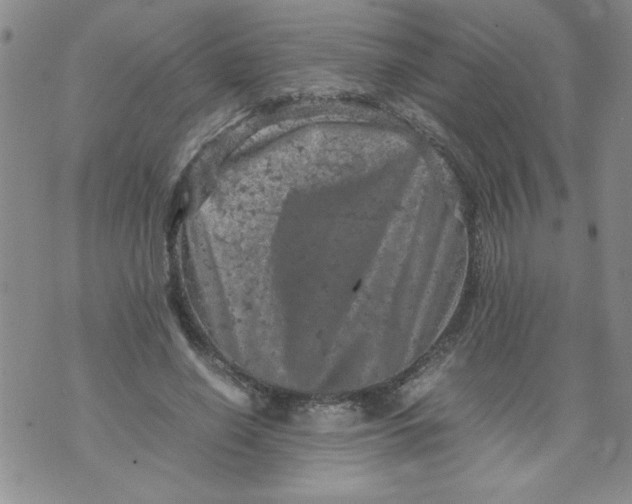 X0000072550638200608041649