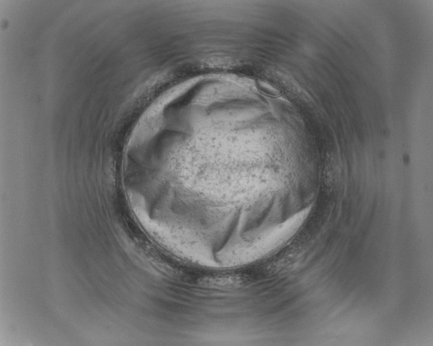 X0000072550639200608041649