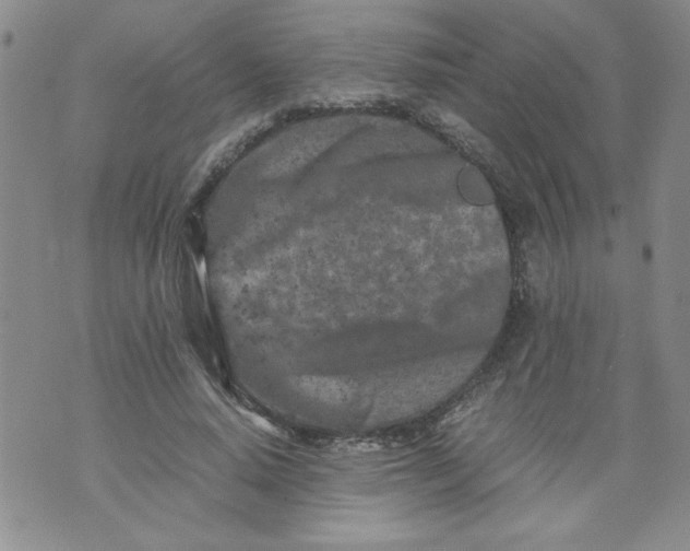 X0000072550640200608041649