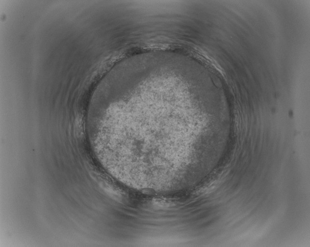 X0000072550641200608041649