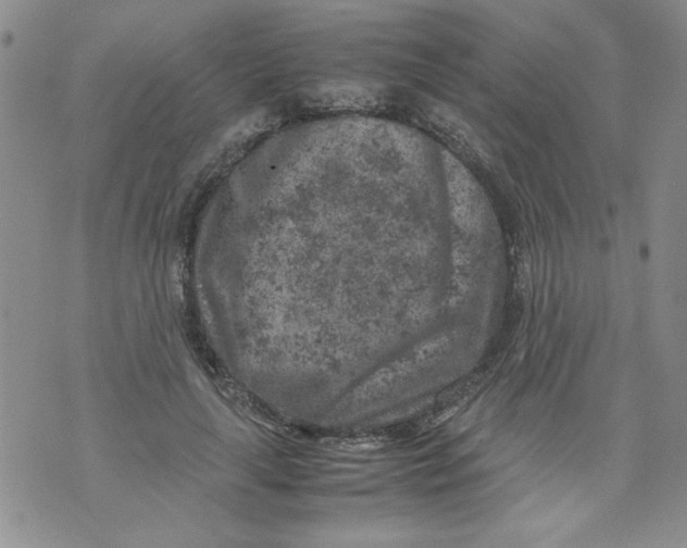 X0000072550643200608041649