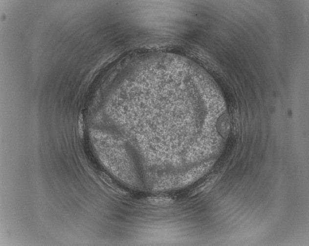 X0000072550644200608041649