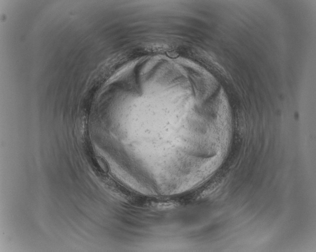 X0000072550645200608041649