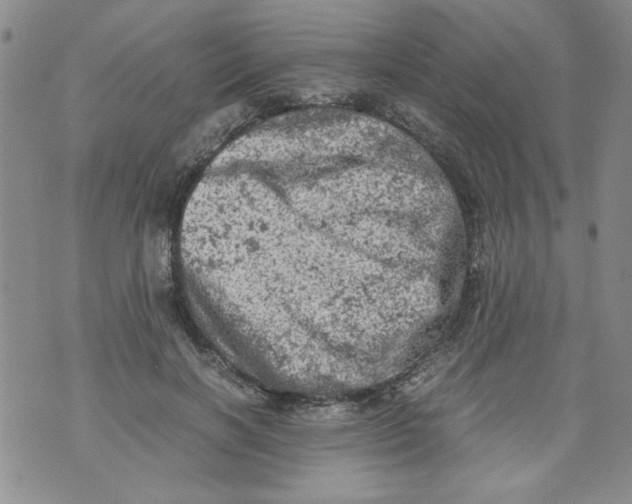 X0000072550646200608041649