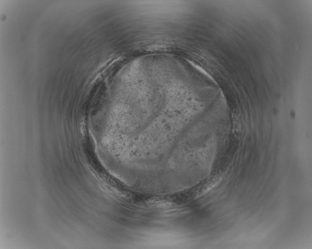 X0000072550648200608041649