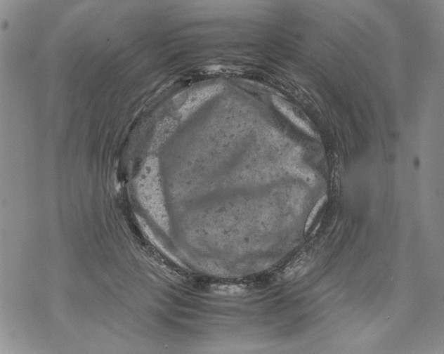 X0000072550649200608041649