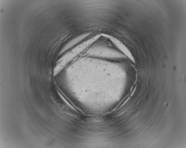 X0000072550652200608041649